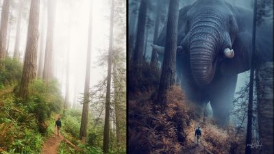 大大象效应照片处理photoshop教程-联萌后期