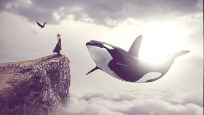 Big Whale-Photoshop操作教程处理-联萌后期