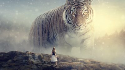 Big Tiger-Photoshop操作教程-联萌后期
